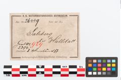 Etikett zu Bronzebuckelarmreif (NHMW-PRAE-026449)